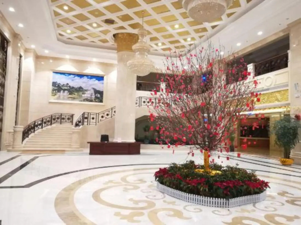 Vienna International Hotel (Daxin Detian Square)