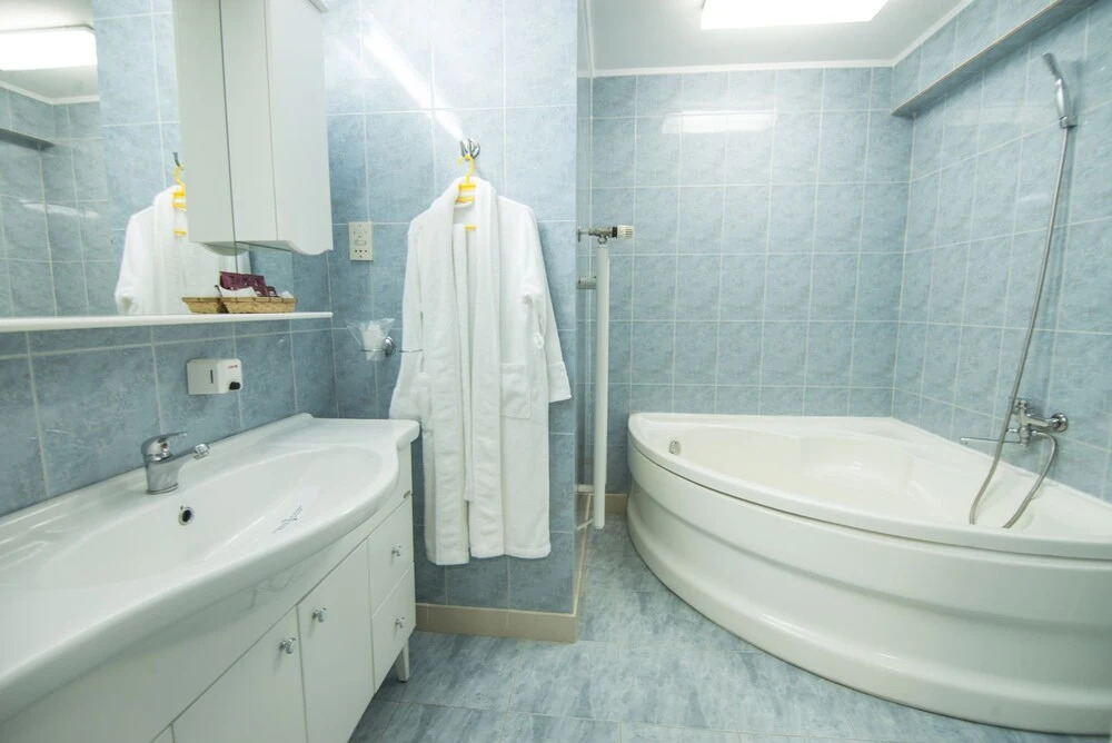 Hotel Trotuş