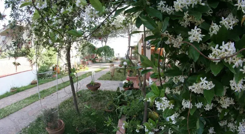 La Scogliera