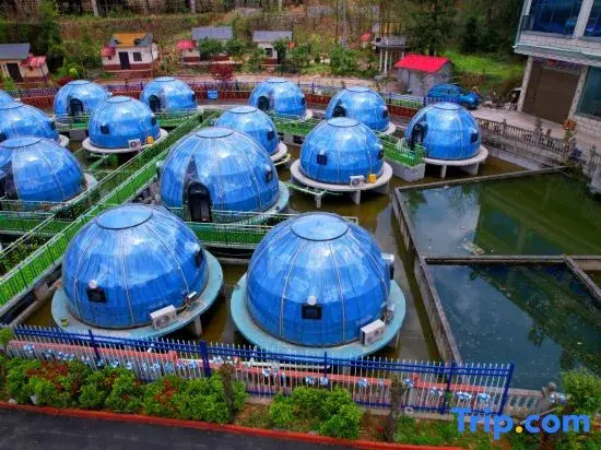 Water Starry Sky Homestay