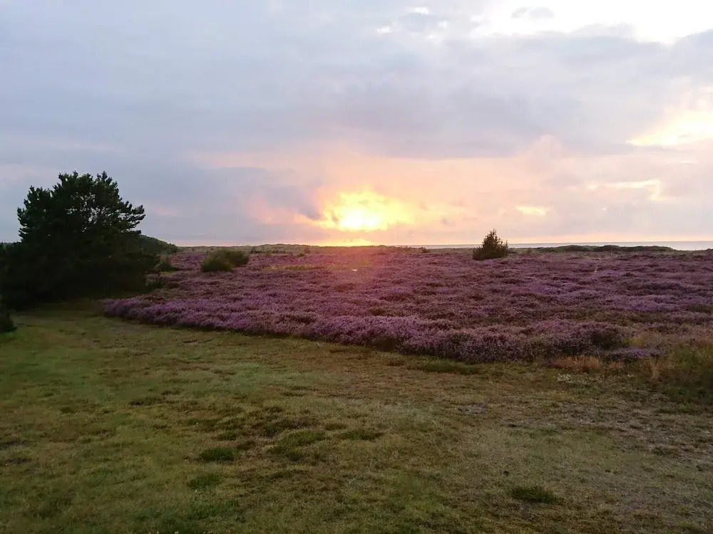 6 person holiday home in Læsø-By Traum