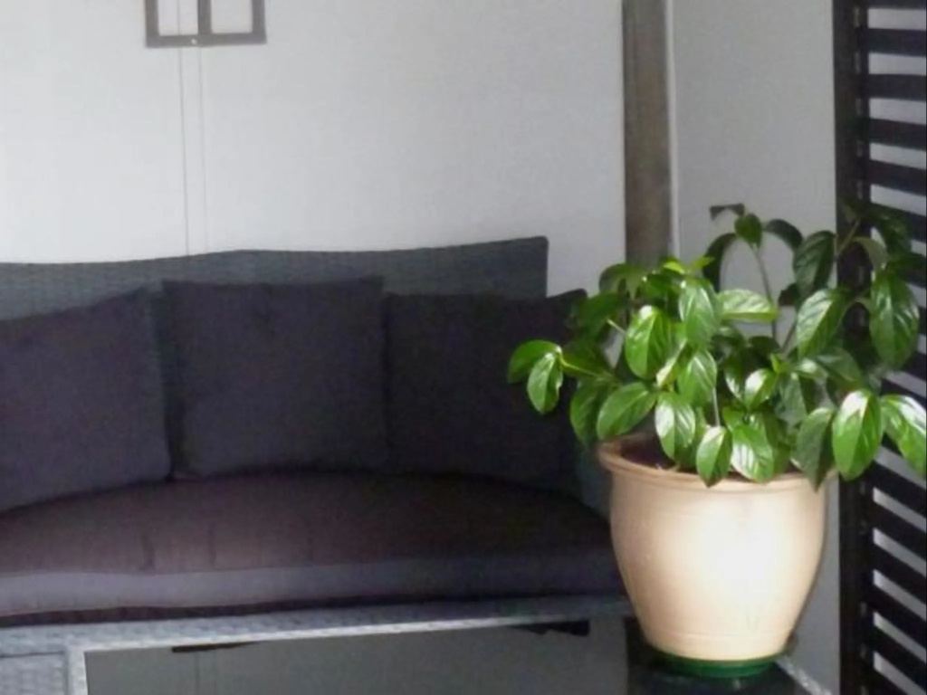 Opua Boutique Seaview Motel