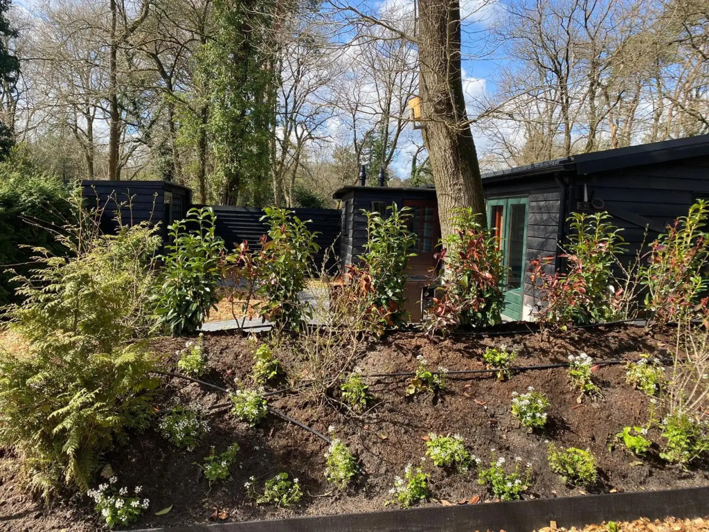De Veluwse bos Lodge