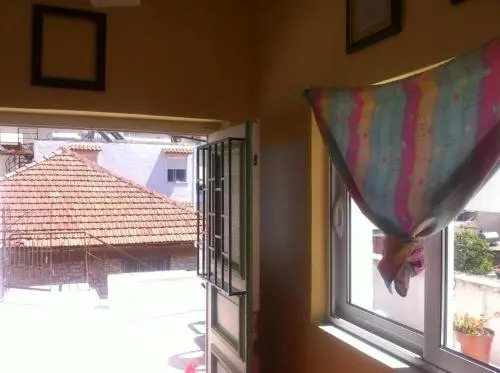 Dolphin Hostel