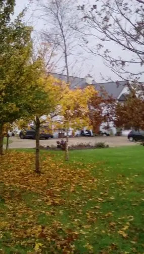 Ashford Haven B&B