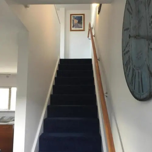 Blue Dog Estate