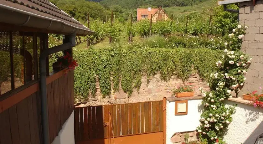 Gite Colmar