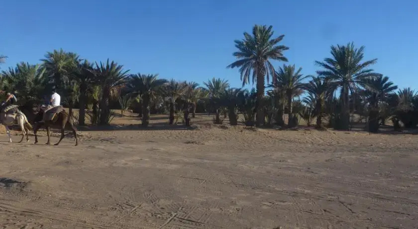 Oasis Camp