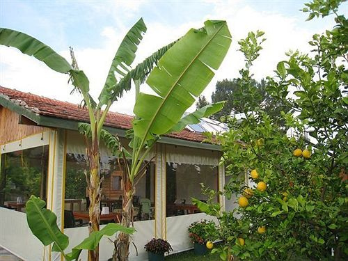 Cirali Armira Bungalow