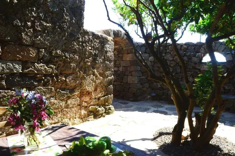 Dammuso Giardino Arabo