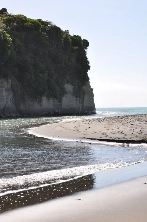 Urenui Beach Camp