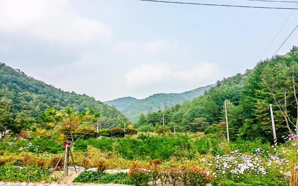Wonju Gamaksan Hwangtobang Pension