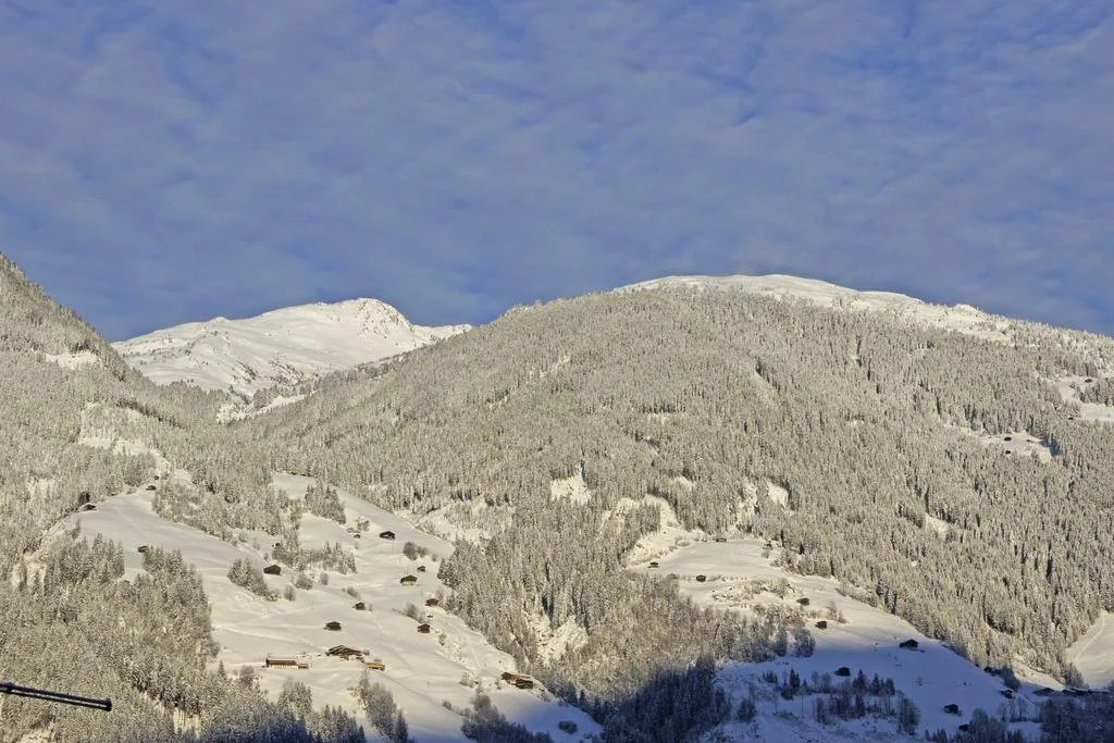 Haus Alpenfriede