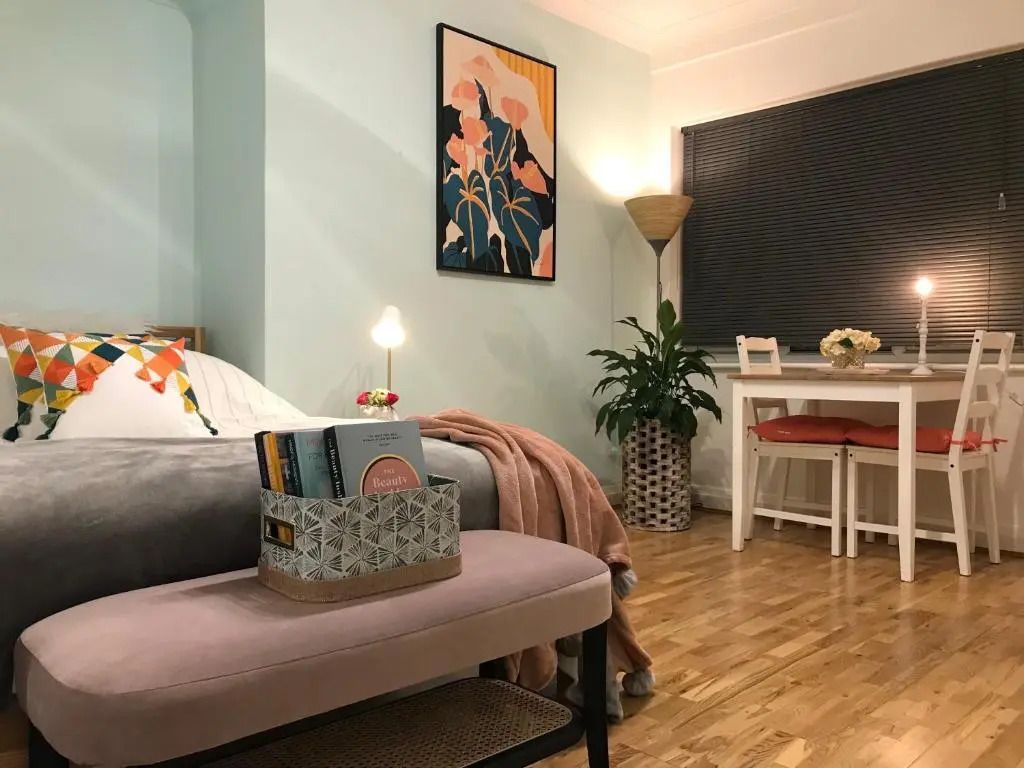 Modern Boutique Studio Apartment