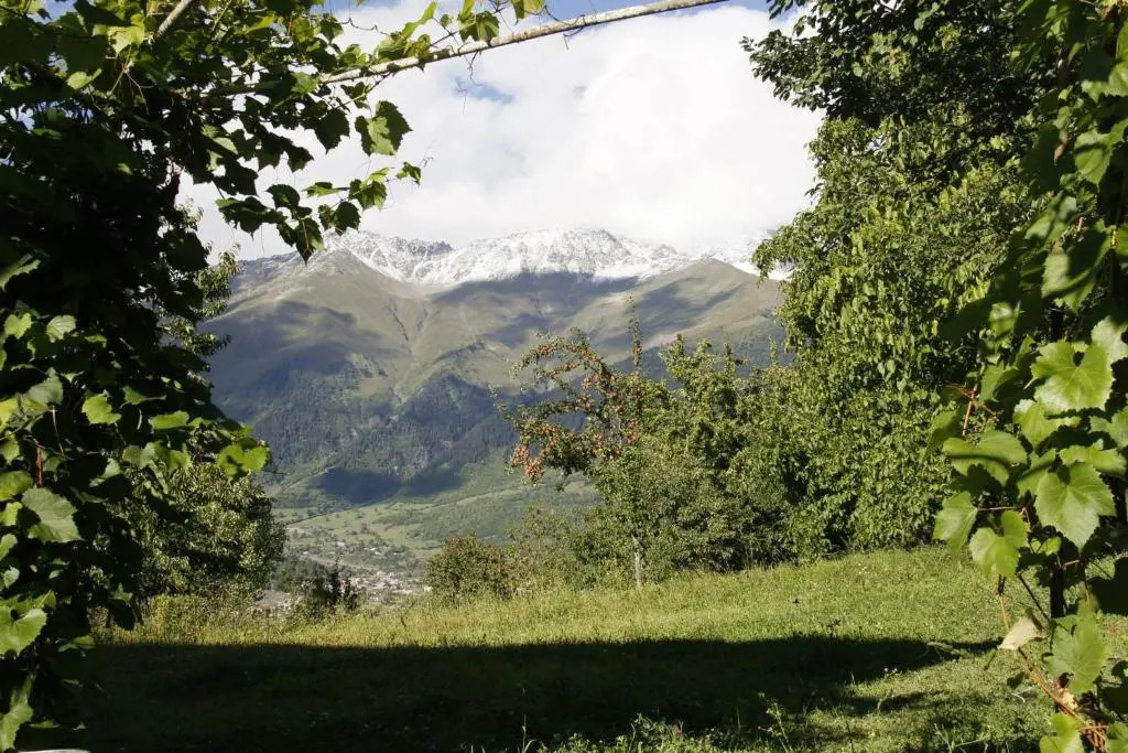 kahri