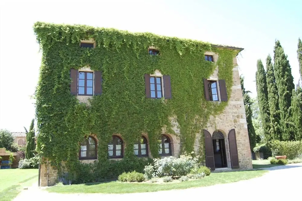 Verdidea - PIAN DELL'ASSO (up to 26 people)