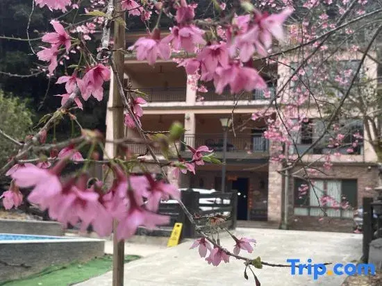 Longmen Nankunshan Yuanshang Homestay