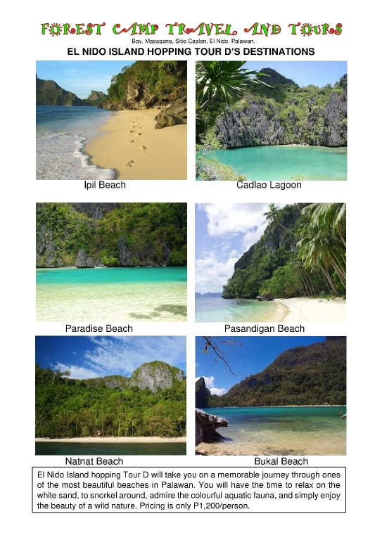 Forest Camp El Nido