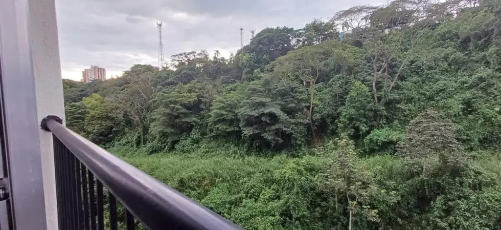 Hermoso, central y natural apartamento en Pereira