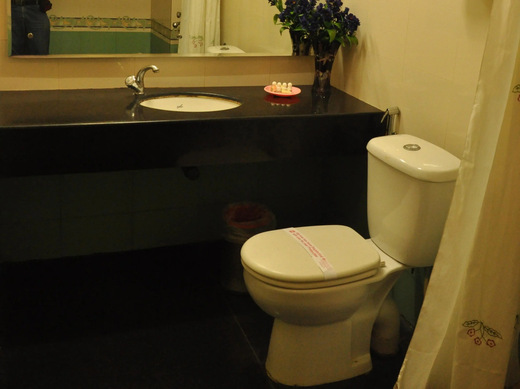Hotel Royal Sathyam
