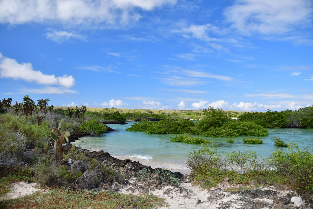 Royal Palm Galapagos, Curio Collection Hotel by Hilton