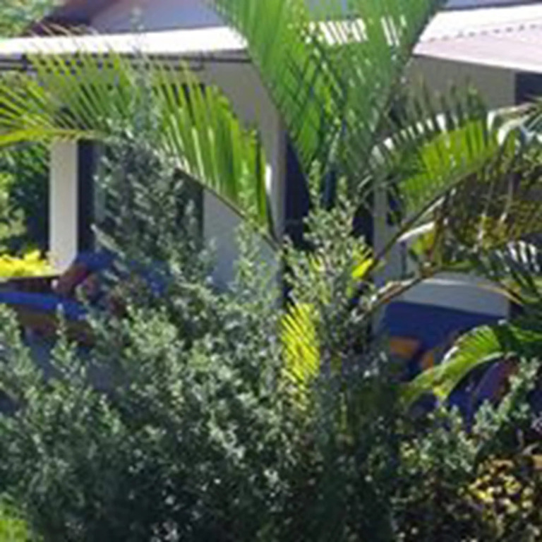 Los Susurros Casa Monkey Rescue and Rehabilitation Sanctuary