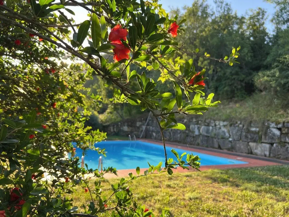 La Melagrana