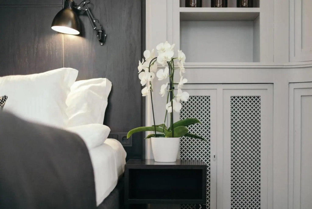 Apótek Hotel Reykjavík by Keahotels