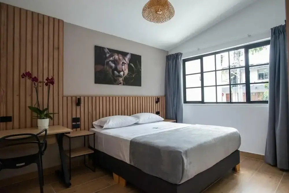 Vita Hotel Boutique - Aire Acondicionado & Desayuno