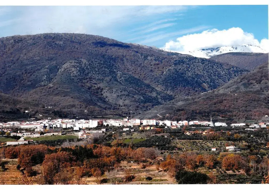 Hostal El Brezo