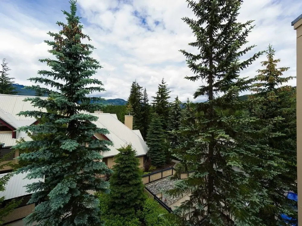 Snowberry 20 by Outpost Whistler