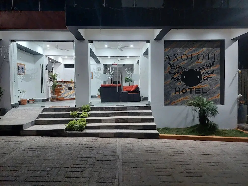 Hotel Axolotl