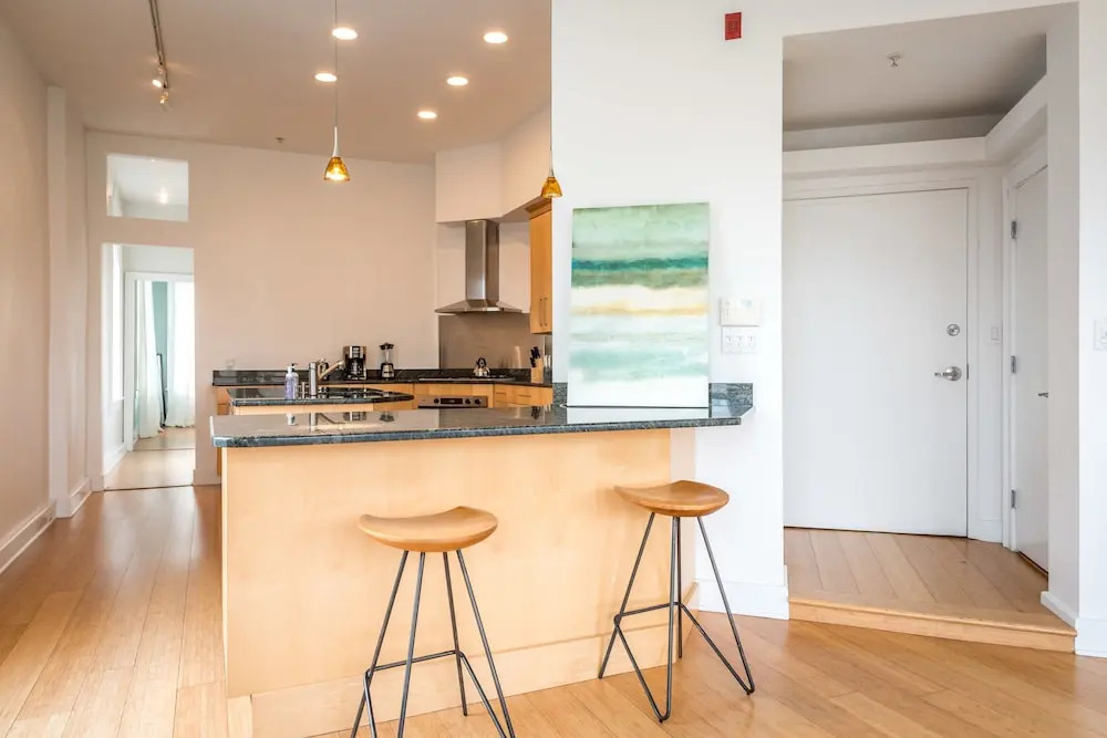 Downtown Boston Furnished Apartment