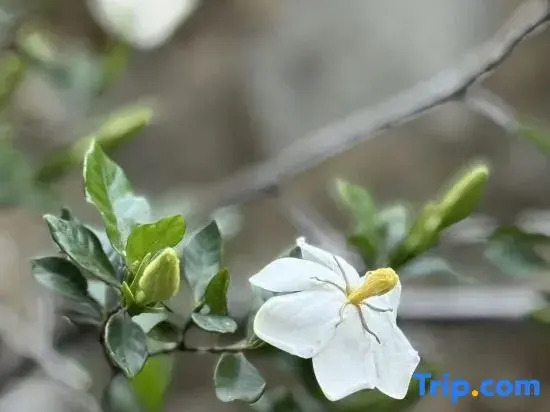 Xiyu Mountain House (Sanbao International Ceramic Village)