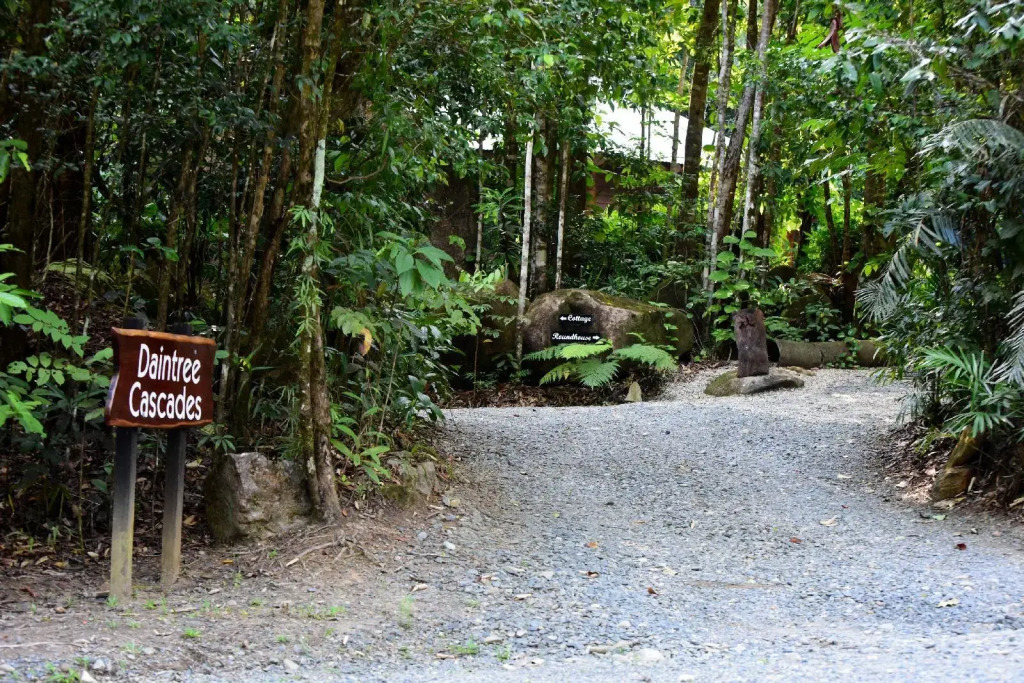Daintree Cascades