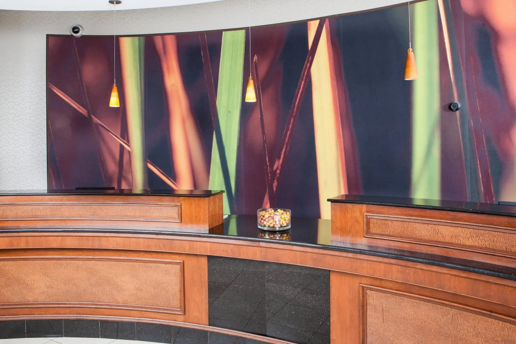 SpringHill Suites by Marriott Norfolk Virginia Beach