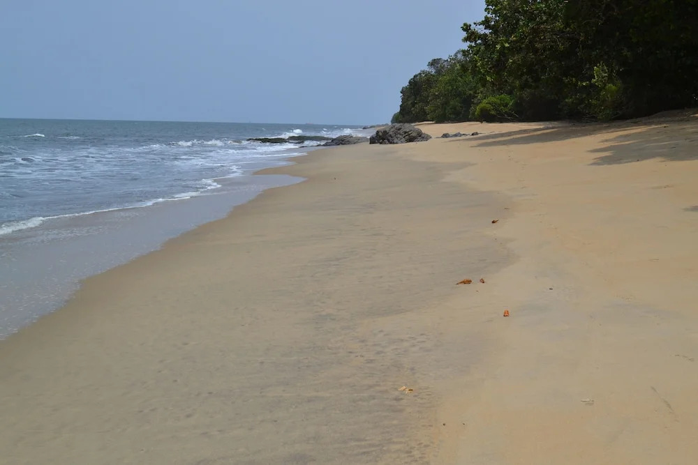 Hotel Tara Plage