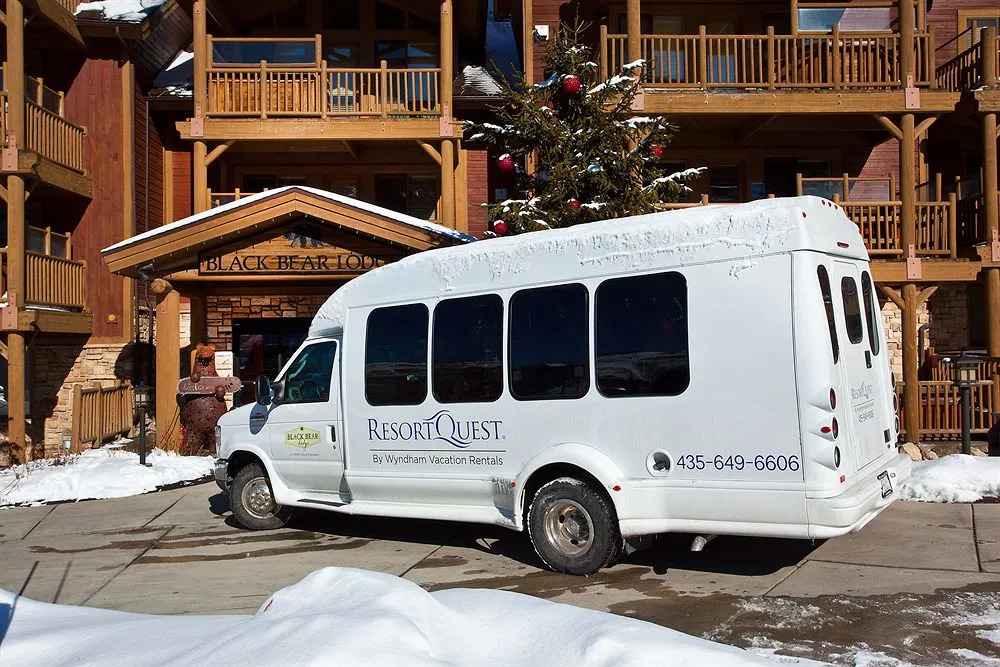 Black Bear Lodge