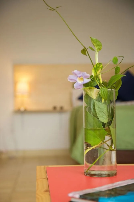 Casa Bugambilia - Alma Hotels