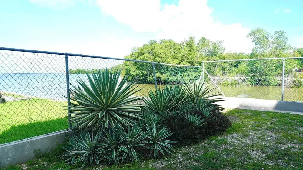 Poolside Seaview Studio With Infinity Pool & Overwater Deck Near Airport, 1st FL