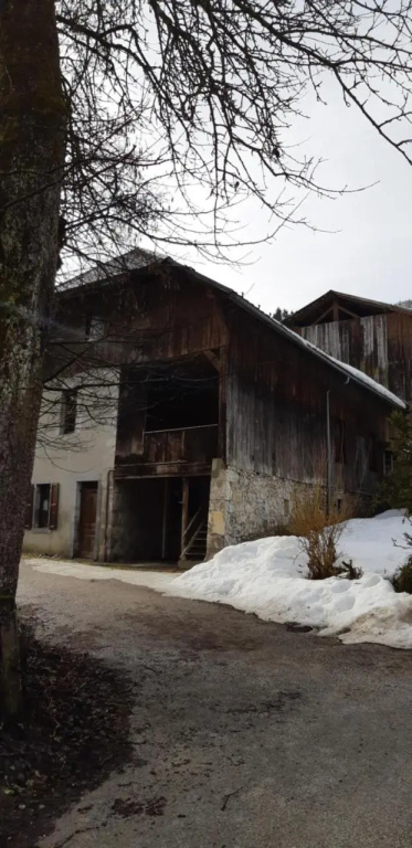Chalet Montagne 11 P Grand Massif 100 M Telecabine