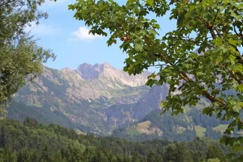 Gästehaus Alpenruh