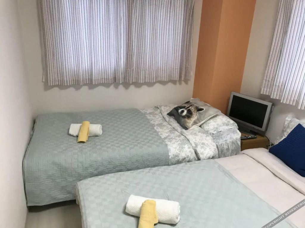 Seaside Room Umeda / Vacation Stay 4027