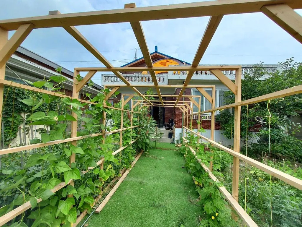 Grandmothers Vegetable garden