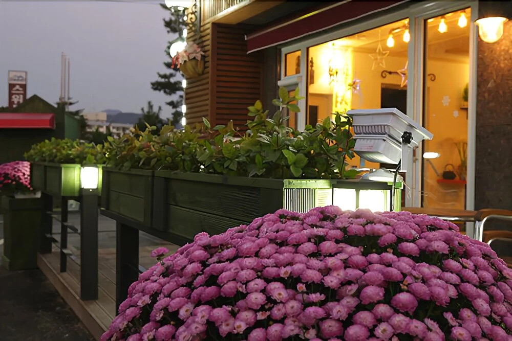 Yongin Caribbean Hue Pension