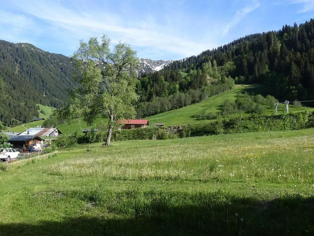 Appartement Arêches-Beaufort, 3 Pièces, 6 Personnes - Fr-1-342-153