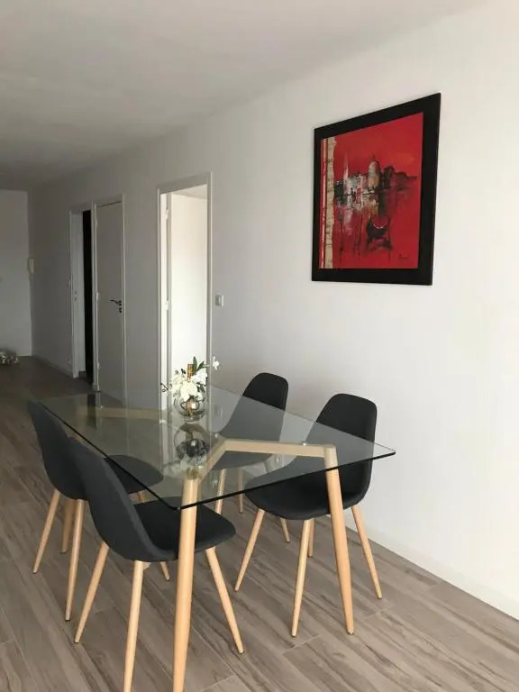Roanne-centre appartement