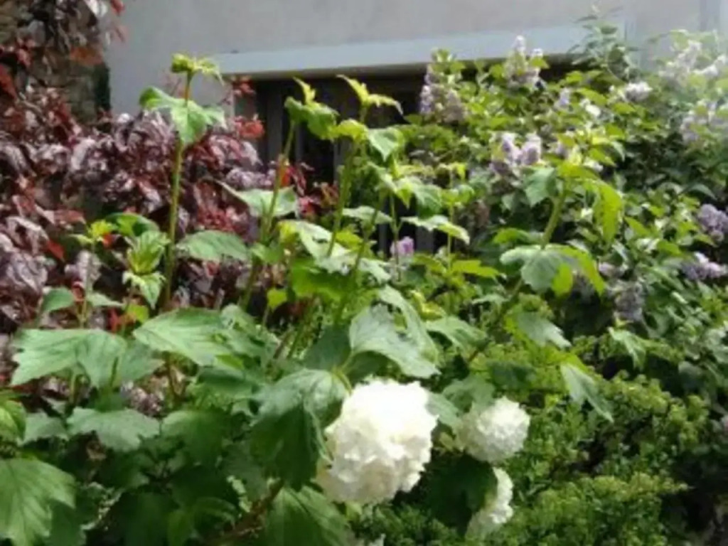 Gîte rénové avec terrasse près de Nancy - Calme et charme garanti - FR-1-584-35