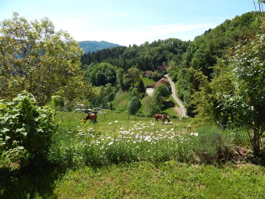 Schwedenhaus Raich