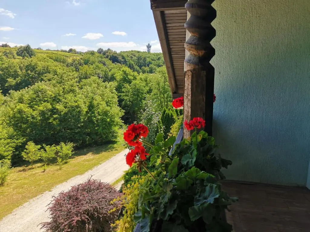Apartma med vinogradi